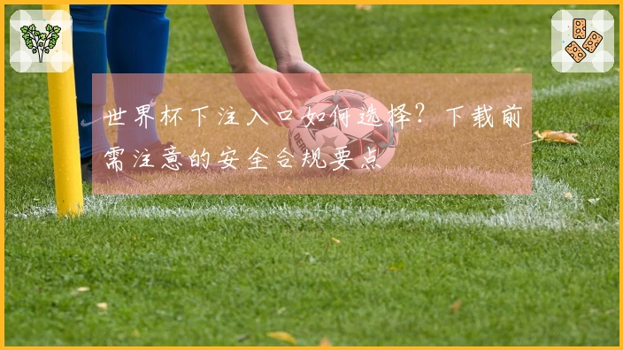 世界杯下注入口如何选择？下载前需注意的安全合规要点