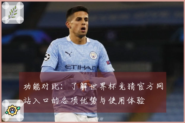 功能对比：了解世界杯竞猜官方网站入口的各项优势与使用体验