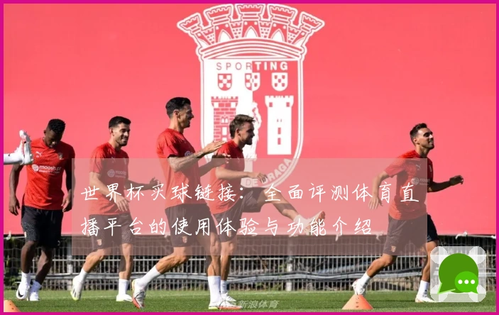 世界杯买球链接：全面评测体育直播平台的使用体验与功能介绍