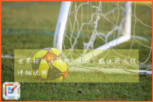 世界杯投注技巧：iOS下载注册流程详细说明