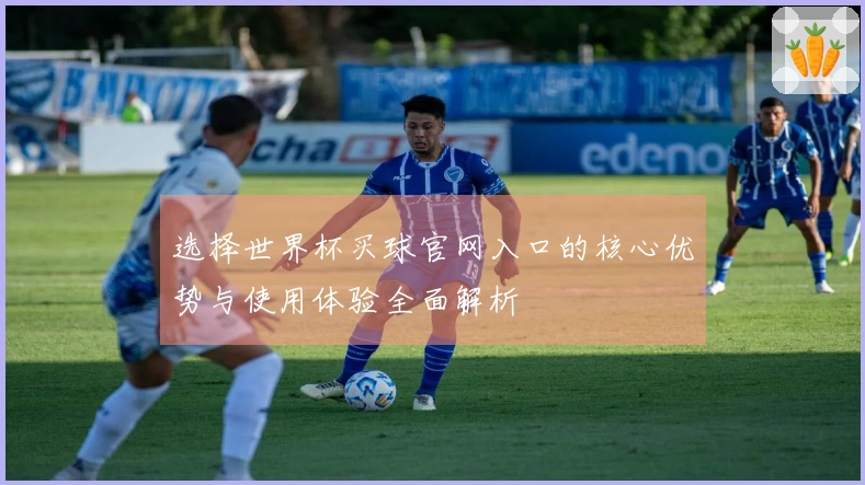 选择世界杯买球官网入口的核心优势与使用体验全面解析