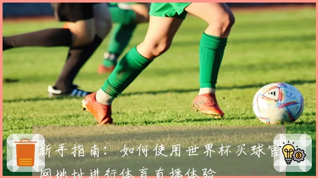 新手指南：如何使用世界杯买球官网地址进行体育直播体验
