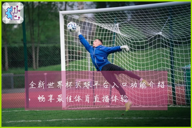 全新世界杯买球平台入口功能介绍，畅享最佳体育直播体验