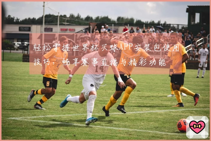 轻松掌握世界杯买球APP安装包使用技巧，畅享赛事直播与精彩功能