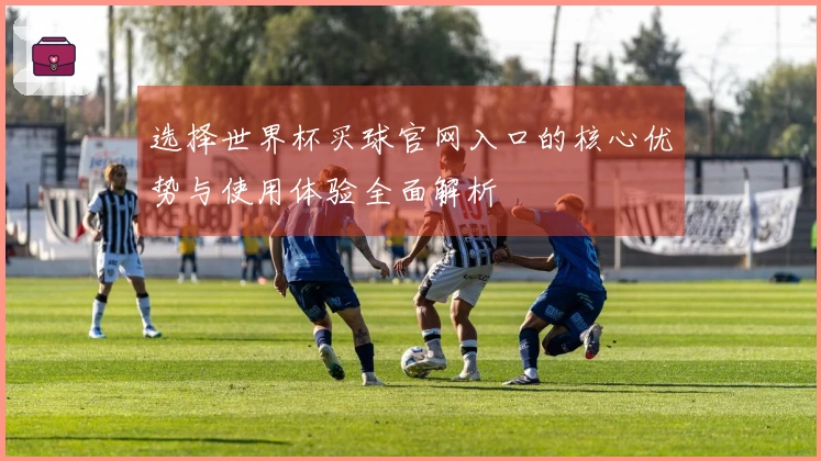 选择世界杯买球官网入口的核心优势与使用体验全面解析