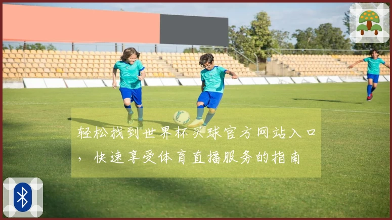 轻松找到世界杯买球官方网站入口，快速享受体育直播服务的指南