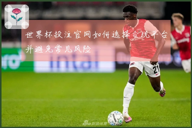 世界杯投注官网如何选择合规平台并避免常见风险