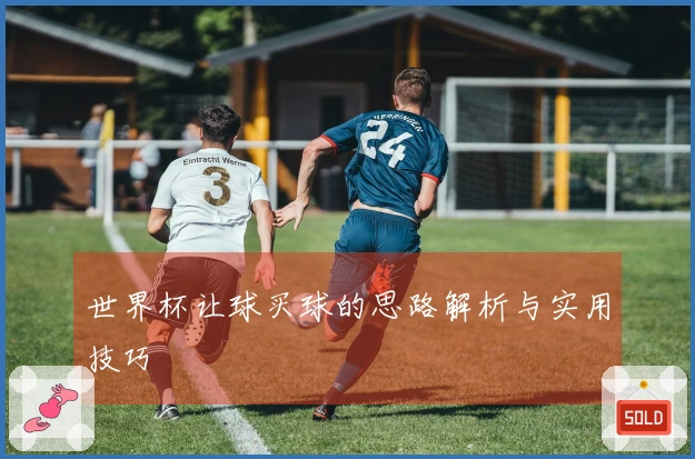 世界杯让球买球的思路解析与实用技巧