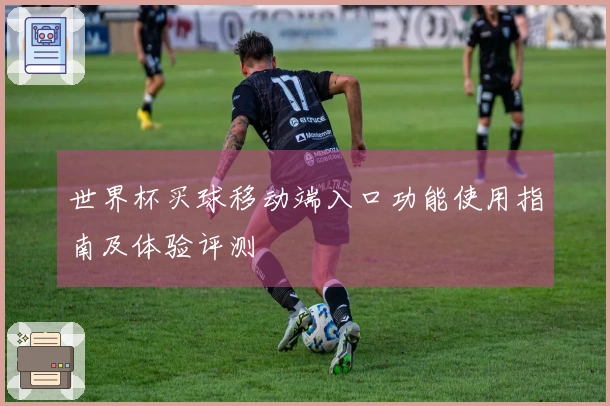 世界杯买球移动端入口功能使用指南及体验评测