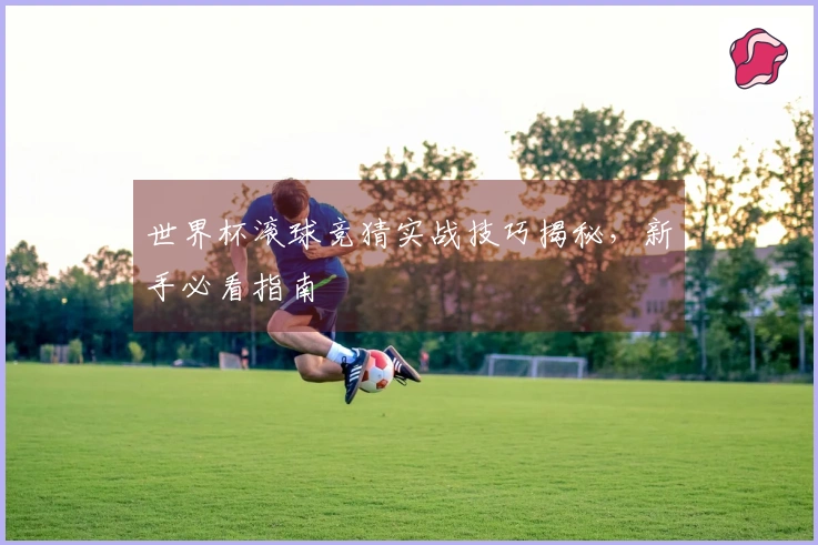世界杯滚球竞猜实战技巧揭秘，新手必看指南