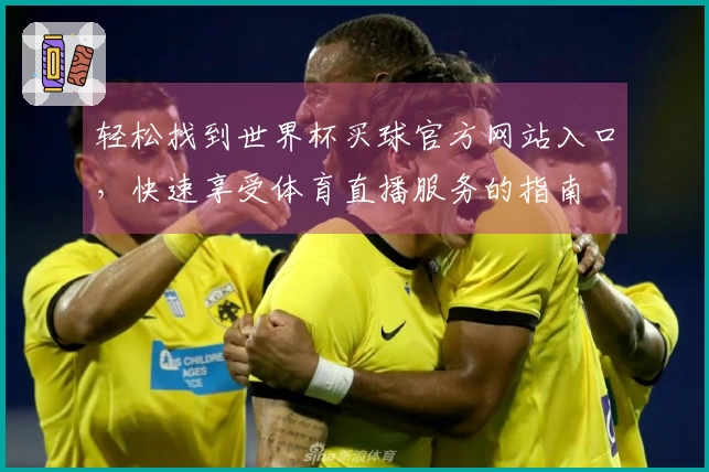 轻松找到世界杯买球官方网站入口，快速享受体育直播服务的指南