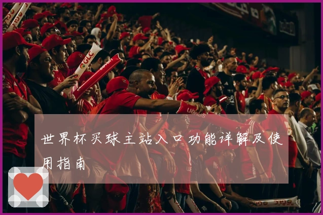 世界杯买球主站入口功能详解及使用指南